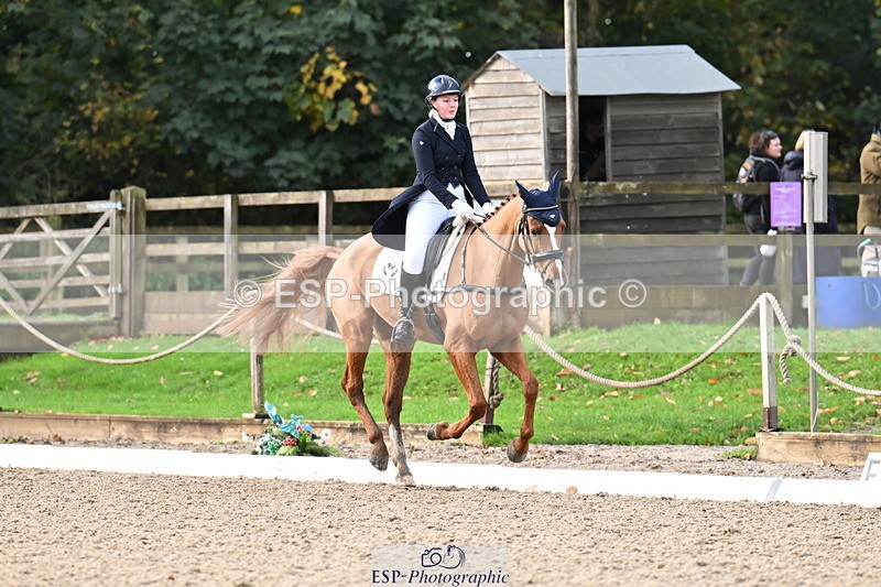 251023A-101820-01485 - B-128-Holly.Law