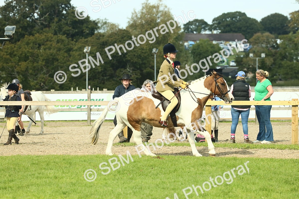 SBM_67660 - S56 - Coloured Pony Ridden