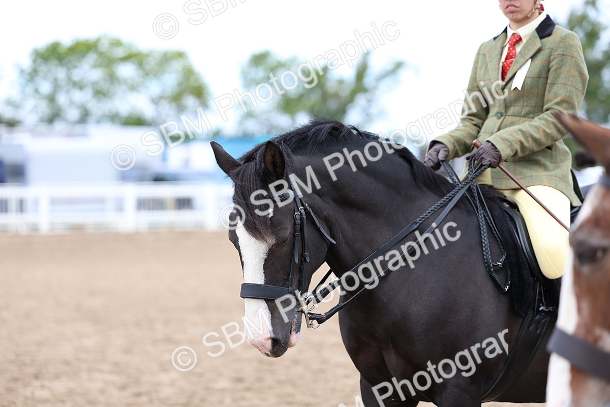 SBM_01493 - Class 17 - Prettiest Mare