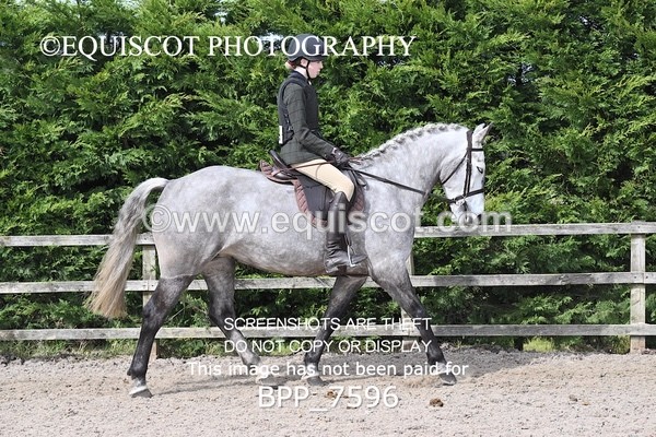 BPP_7596 - RING 1  (RIDDEN HORSES / IN HAND / VETERAN ETC)
