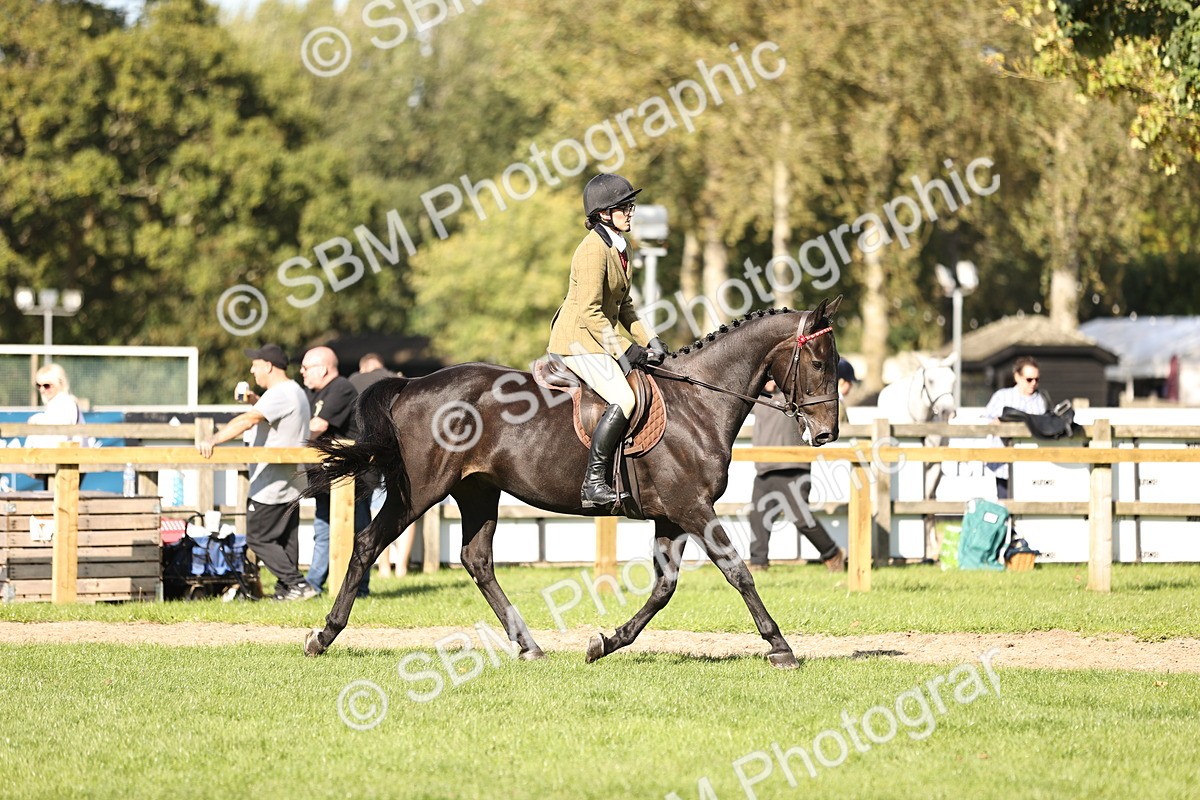 SBM_26386 - S6 - Novice & Newcomers Ridden Horse