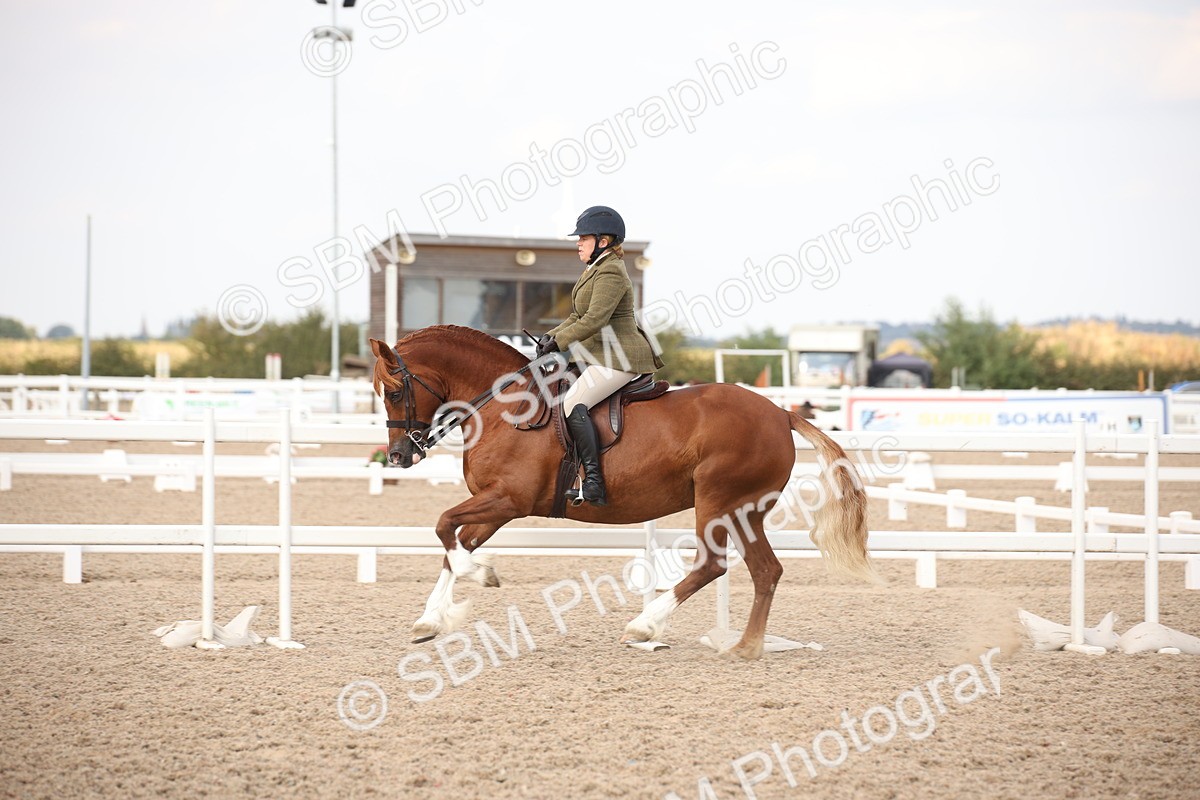 SBM_08791 - Class 12R Regional Ridden Pre-Vet