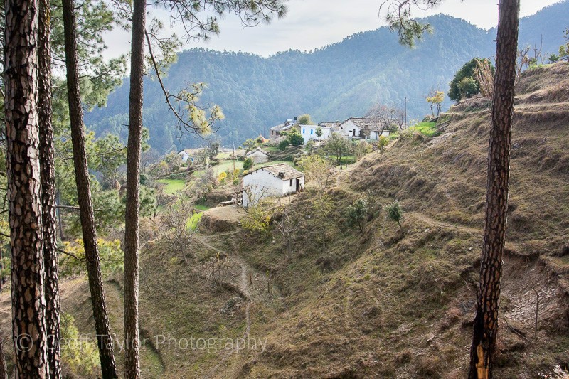 Kathdara village - Binsar Sanctuary