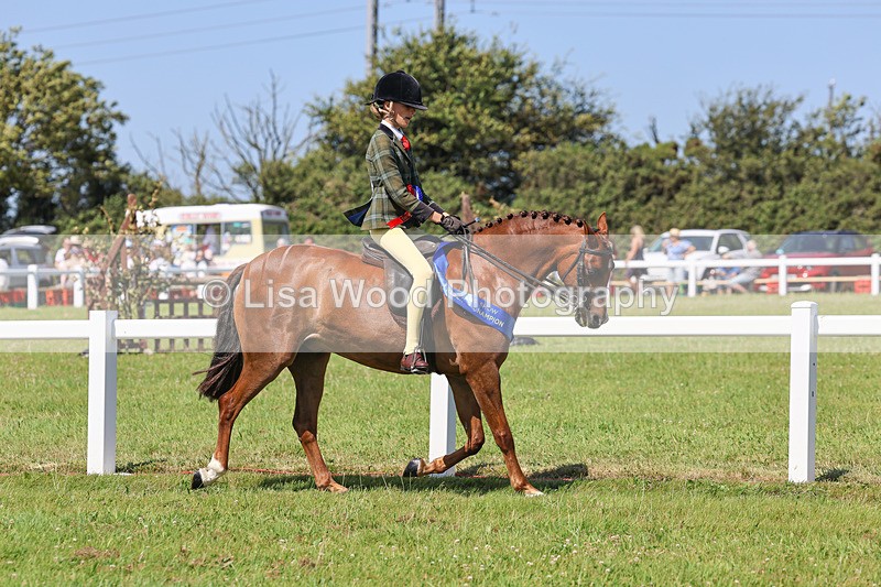 IMG_2162 - Plaited Ridden Championship