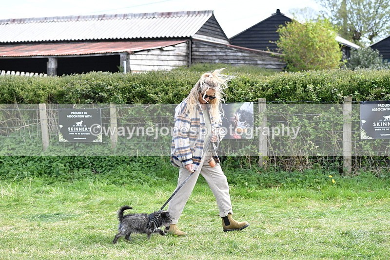 WJ5_0733 - Best in Show Championship