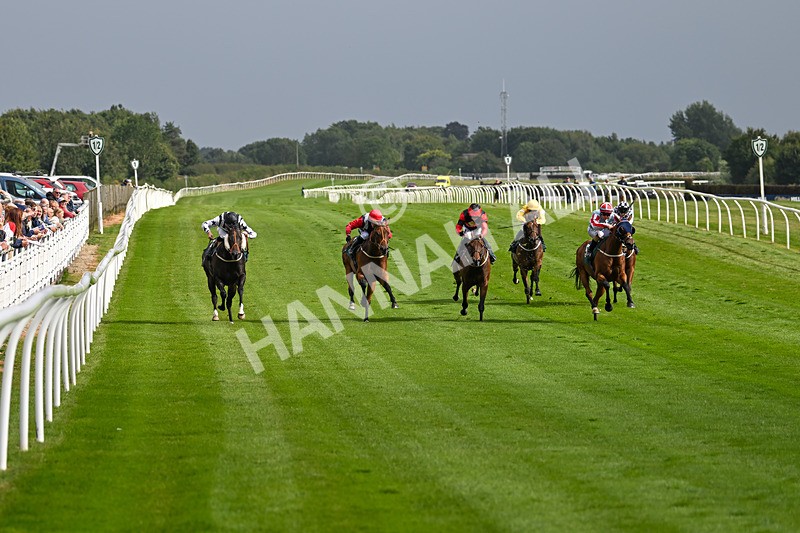 190824-Race 5-Birkenhead-3814 - Race 5