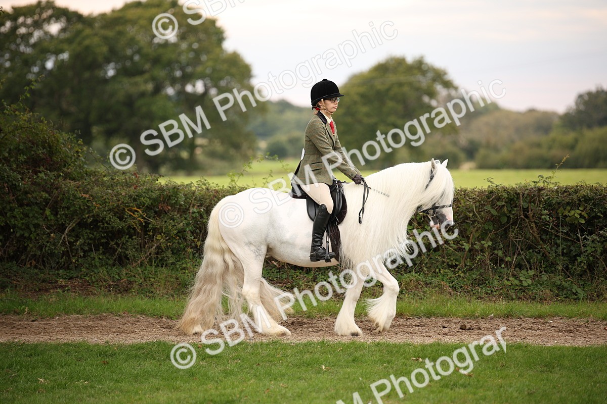 SBM_73411 - S68 - Traditional Cob Ridden