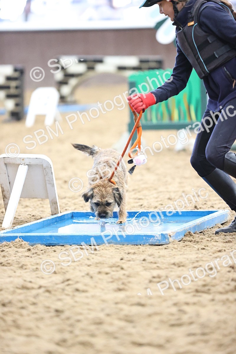 SBM_001256 - Class 3 - Horse & Hound 60cm
