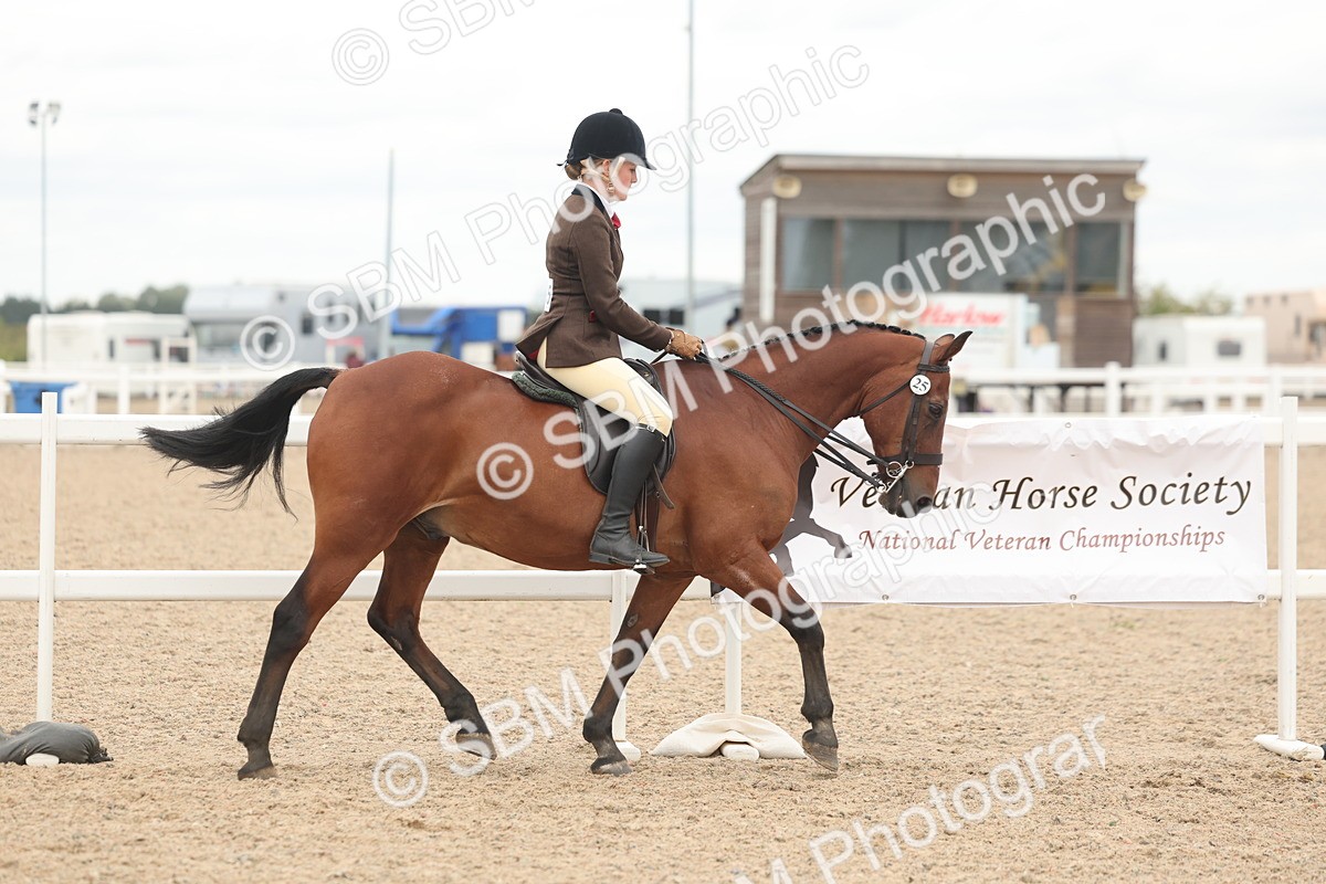 SBM_19101 - Class 316 - Best Pony-Rider Combination