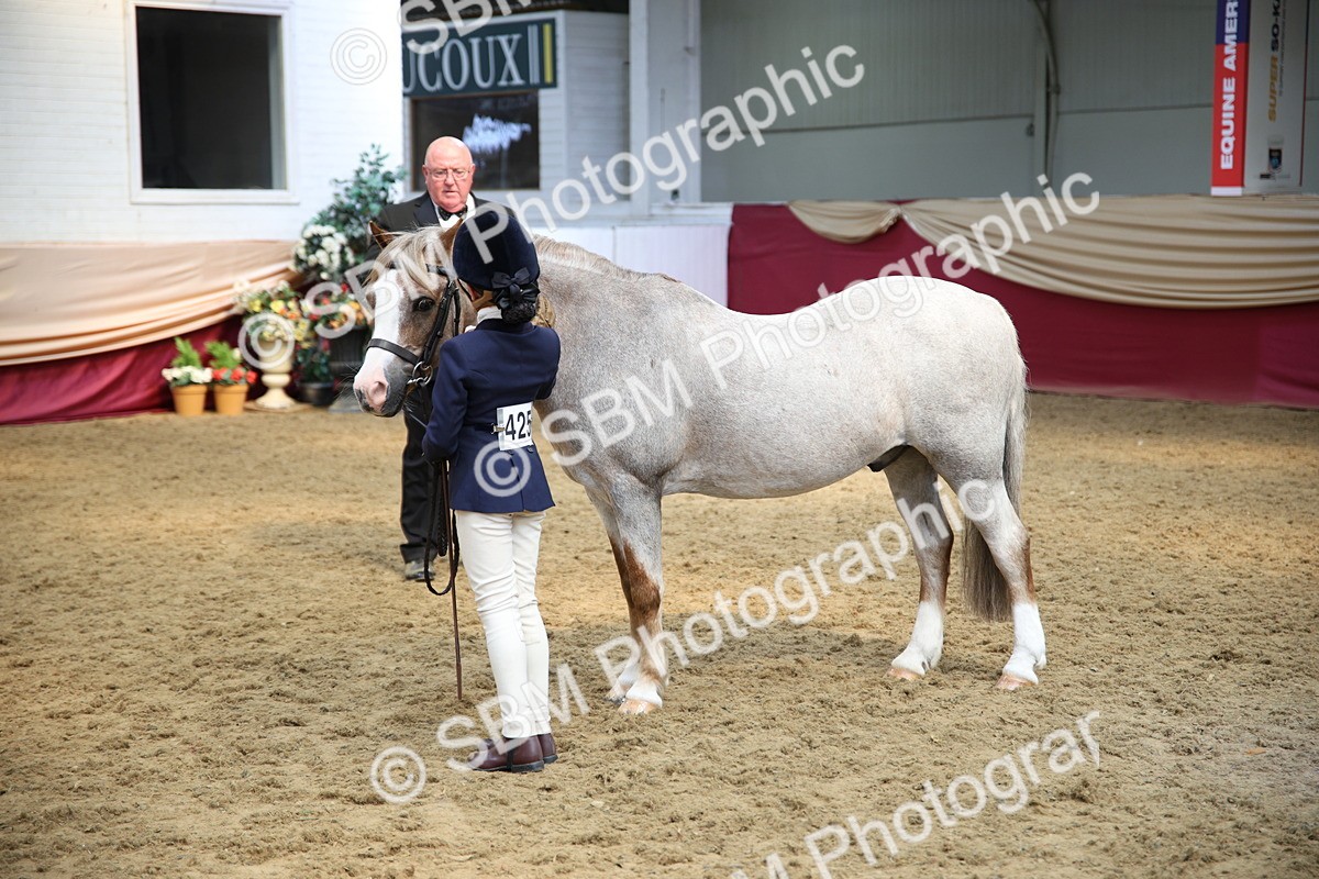 SBM_24264 - Class 905 - Supreme Final - Ridden Veteran