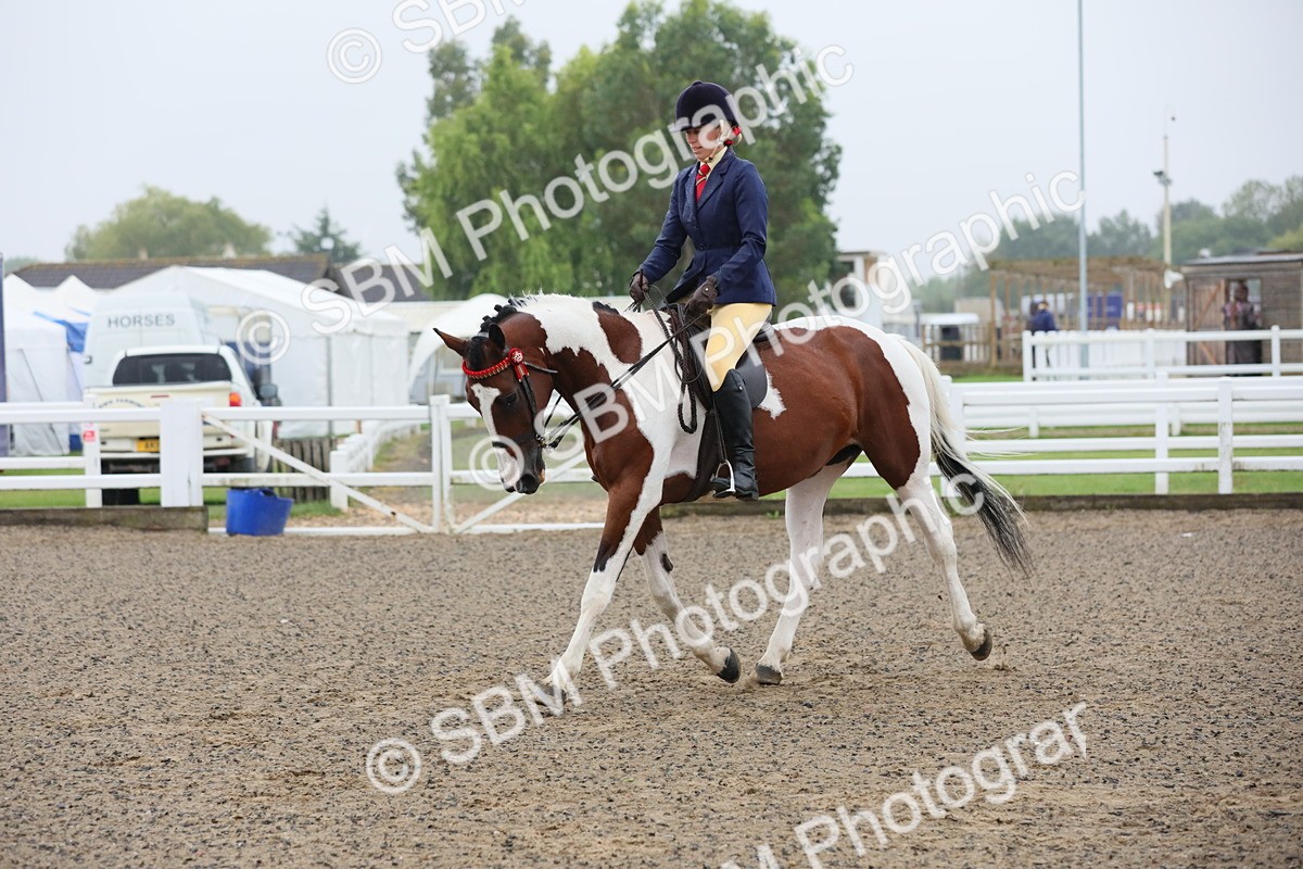 SBM_19894 - Class 801 - Ridden Veteran