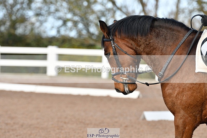 231105A-105411-00169 - UnAf Prelim 18