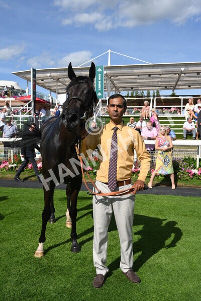 yr09072022r6-39 - Race 6 4.40pm John Smith's City Walls Stakes