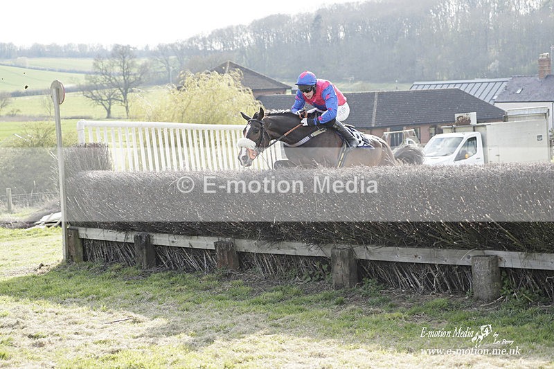 PtP 080423 828 - Dingley Races The Woodland Pytchley Hunt PtP 08/04/23