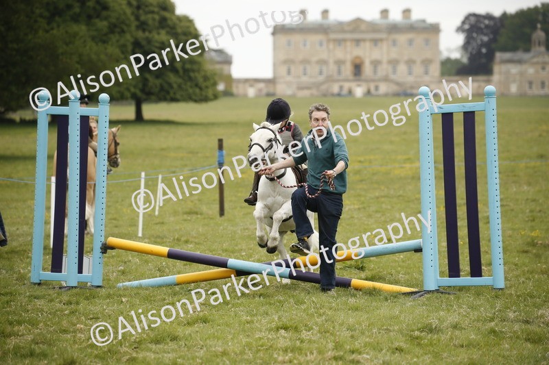 20250517-0109 - Class 1 - 30cm On Lead Rein