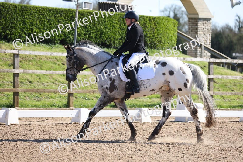 20260318-0486 - Class 5 - Novice 2