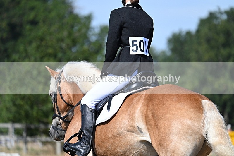 WJ7_0259 - Time 11:33 to 11:44