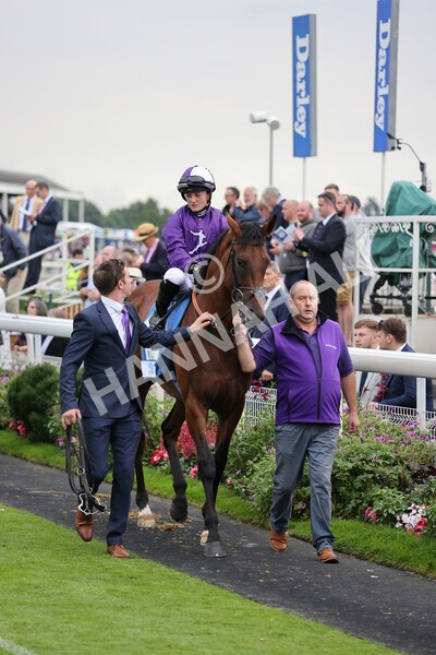 yr19082021r5-2 - Race 5 4.10pm OR8wellness ebfstallions Nursery Handicap