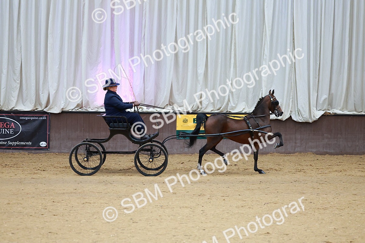 SBM_000628 - Class 9 - HHS Championship Intl Hackney Pony to a Showwagon