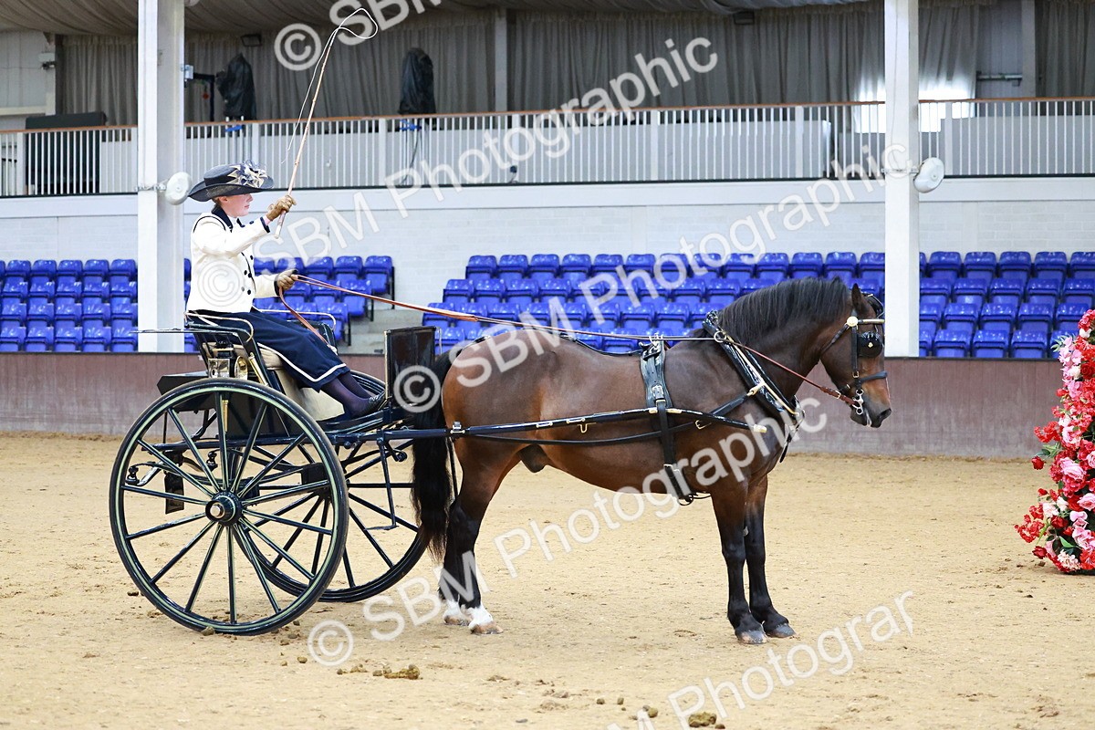 SBM_000124 - Class 3 - Alison Thomas Memorial Lady Whip