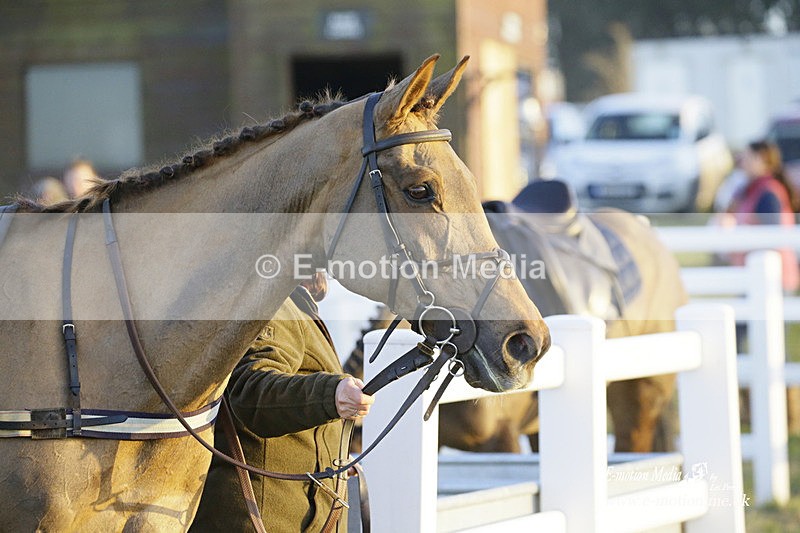 PtP 270222 823 - South & West Wilts Point-to-Point Larkhill 27/02/22