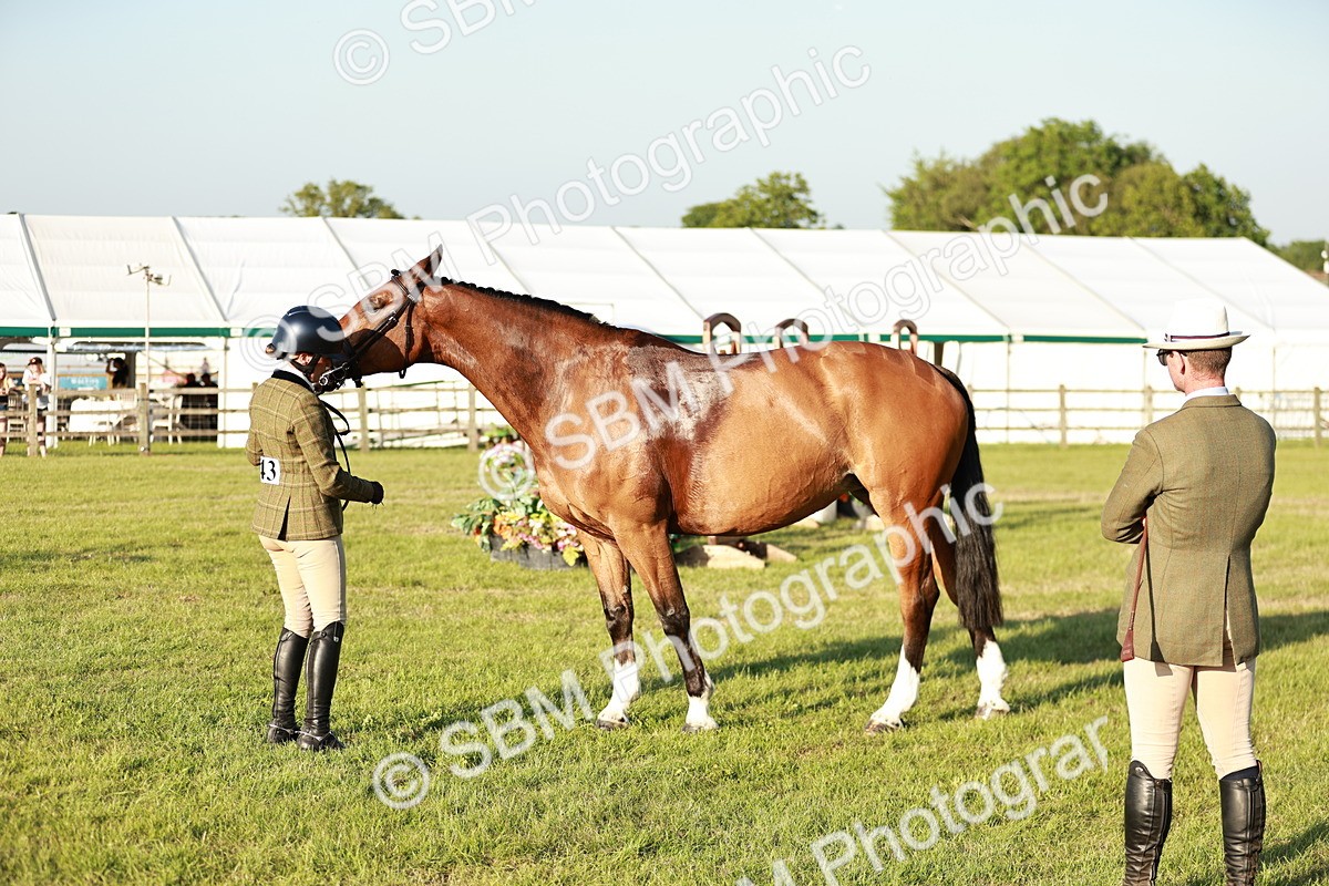 SBM_20530 - Class 117-119 - Sport Horse Working Hunter