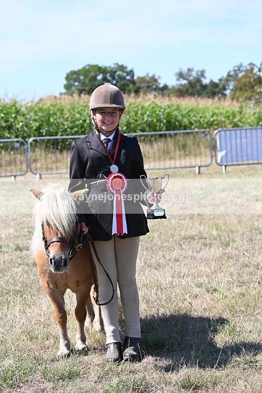 WJ6_8756 - Class 37b Best Loan Pony In-hand