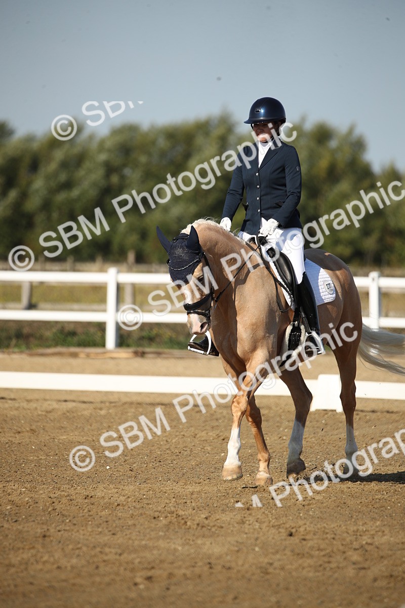 SBM_004544 - Class 11 - Novice 5 - 9.0010.03