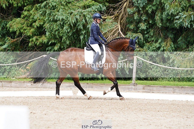 240721-151414-10025 - 195-Dawn_Bear-First_Taylor_Made