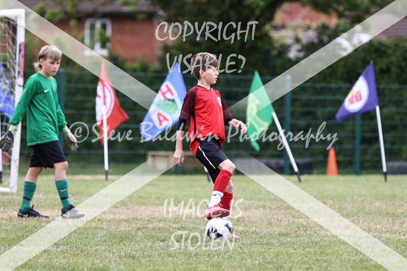 1DX30865 - Brook Field V Goddard Park