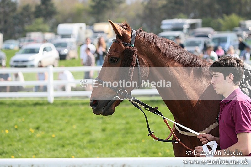PtP 210418 293 - South & West Wilts Point-to-Point Larkhill 21/04/18