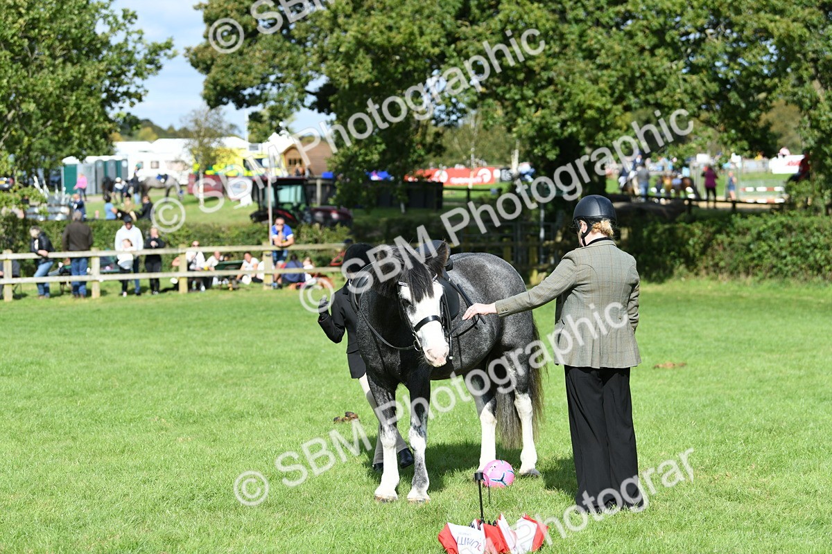 SBM_47095 - S12 - Family Horse & Pony