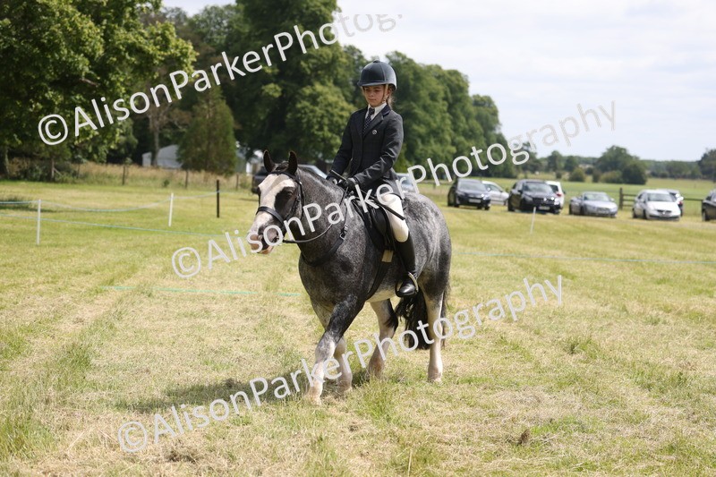 20260614-1986 - Class 21 - Novice Working Hunter Pony