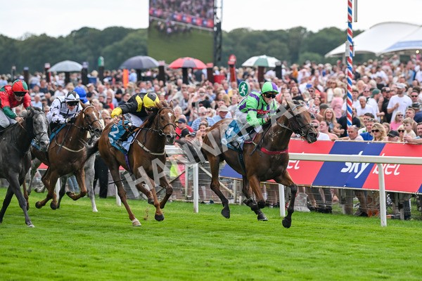 260725-Race 6-Billyb-7890 - Race 6 4.25pm Sky Bet Go-Racing-In-Yorkshire Summer Festival Handicap