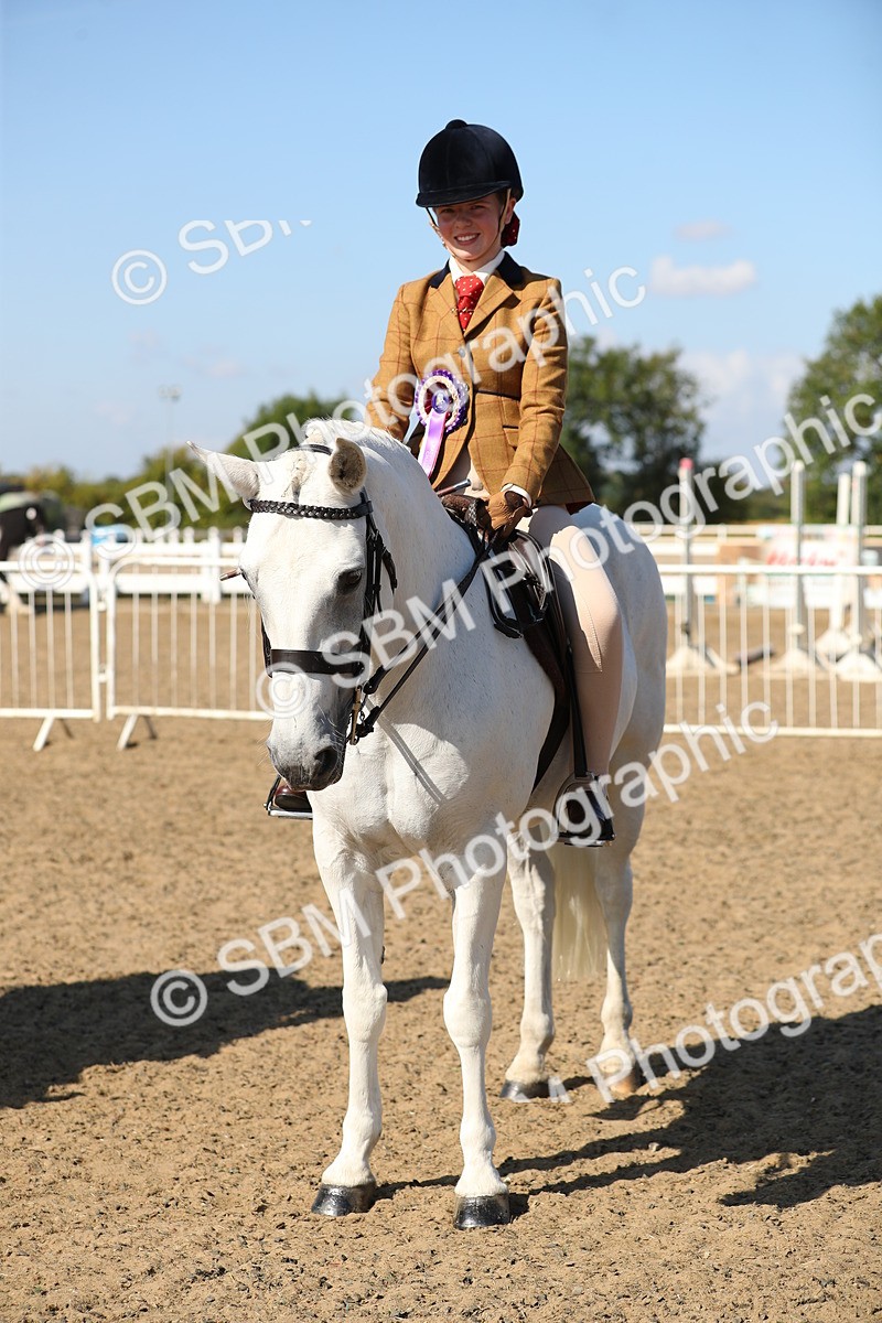SBM_02403 - Class 43 Ridden Competition Horse/Pony