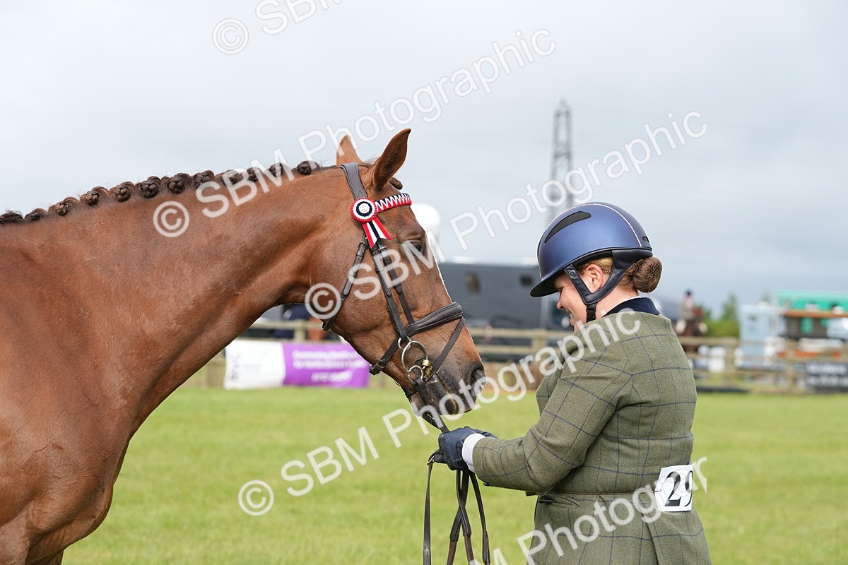 SBM_10627 - Class 97-98 - LIHS BSHA Rising Star Working Show Horse Hunter