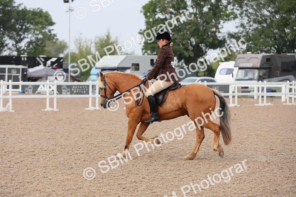 SBM_10028 - Class 302 Ridden M&M -Large Breeds