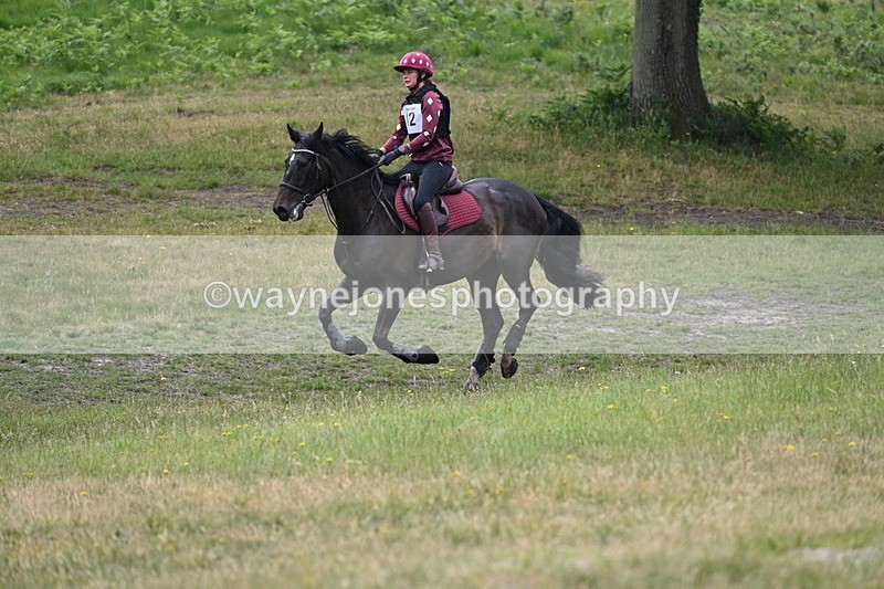 WJ7_8968 - Time 10:45 to 11:03