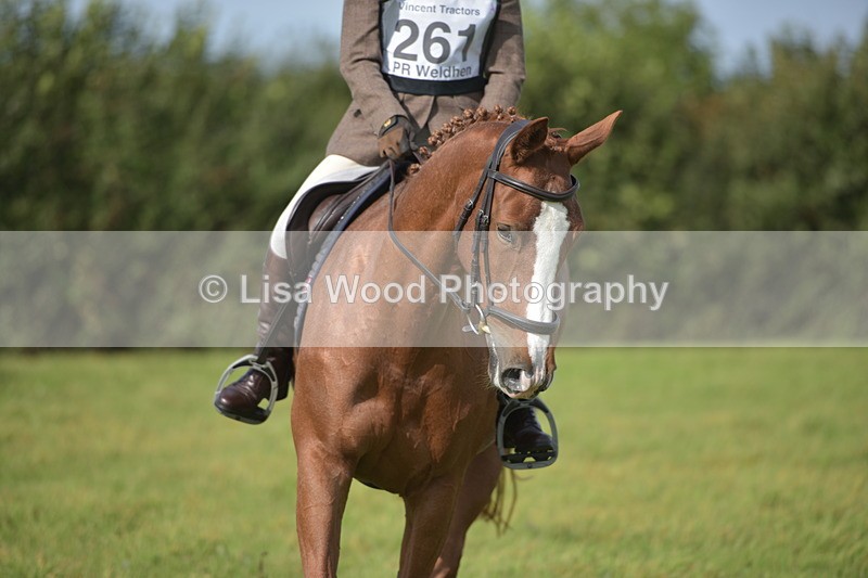 RAY_7851 - Class 2B: Trekenning Open: Dressage