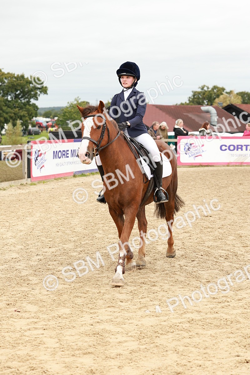 SBM_66907 - J13 - Junior Pony 60cm Championship