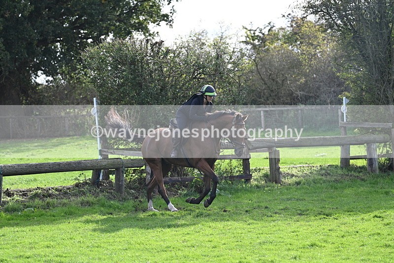 WJ7_0975 - Time 14:27 to 15:11