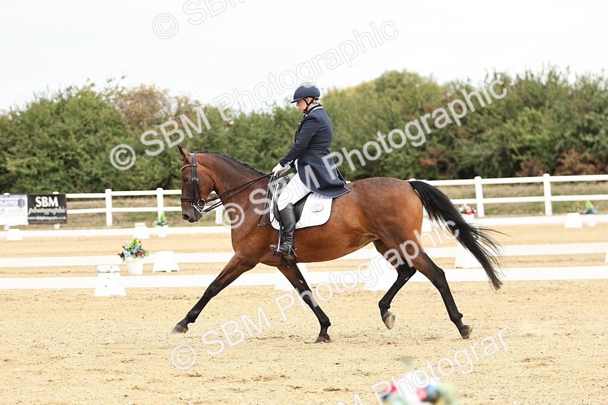 SBM_007133 - Class 25 - FEI PSG Bronze