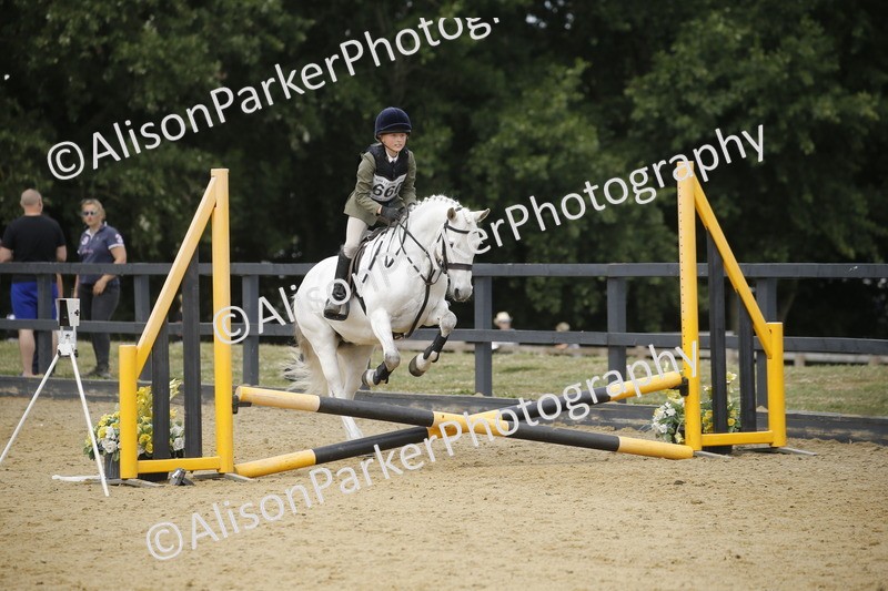 20250622-4738 - 50cm