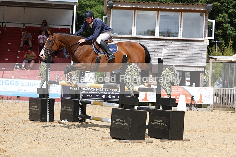 3E7A1956 - Class 9: Senior Foxhunter/1.20 open