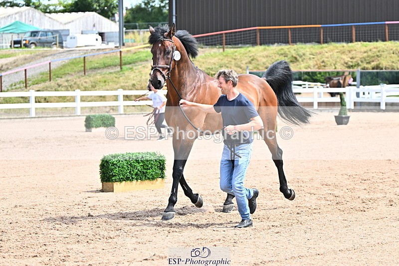 240718A-105247-01161 - Trot Up 12pm to 1pm