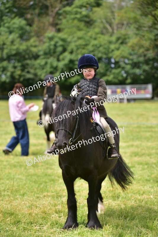 20260614-3734 - Class 15 - Prettiest Mare
