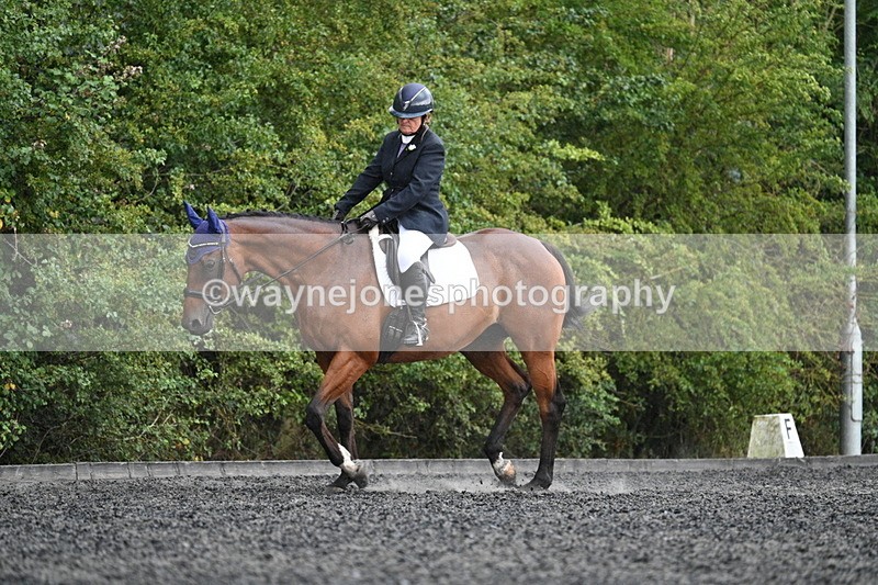 WJ7_7974 - Time 13:40 to 14:00