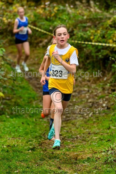 WestRLY25-911458 - Young Female Set One