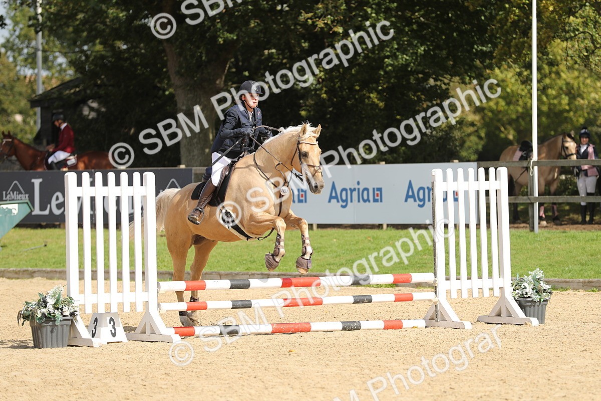 SBM_05735 - J35 - Veteran Rider 60cm