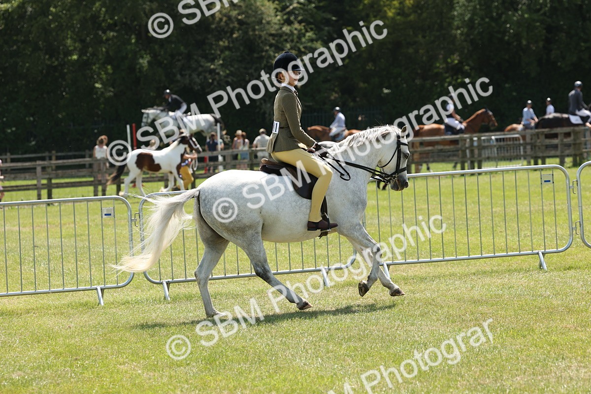 SBM_06737 - Class 26-30 - Mountain and Moorland Ridden